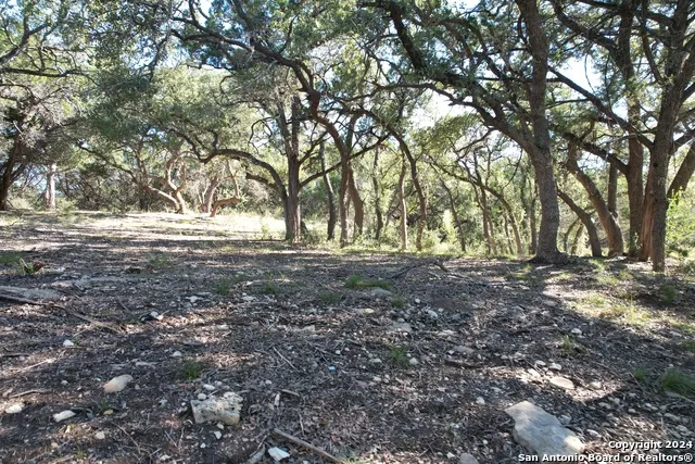 34749 Carries Creek Bulverde, TX 78163