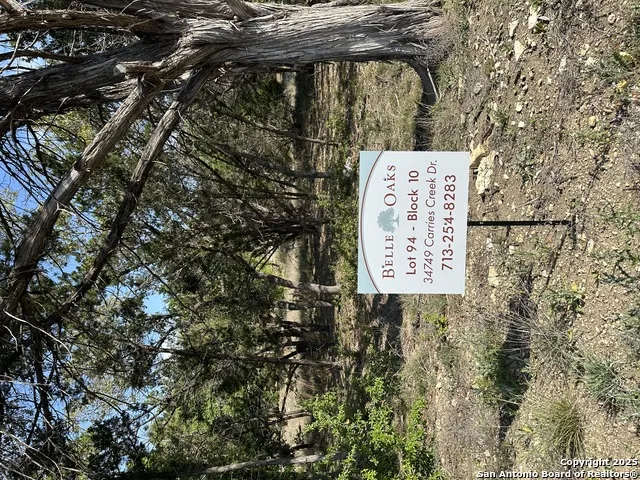 34749 Carries Creek Bulverde, TX 78163