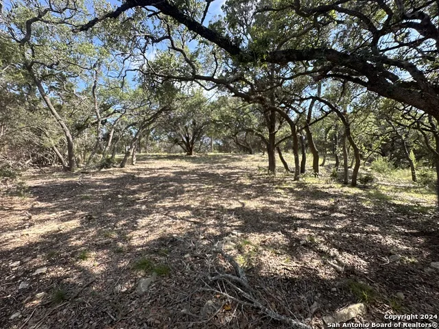 34749 Carries Creek Bulverde, TX 78163
