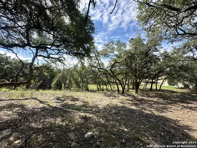 34749 Carries Creek Bulverde, TX 78163