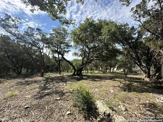 34749 Carries Creek Bulverde, TX 78163
