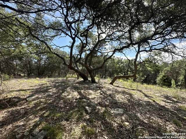 34749 Carries Creek Bulverde, TX 78163