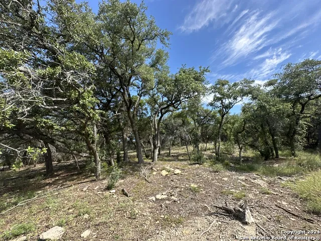 34749 Carries Creek Bulverde, TX 78163