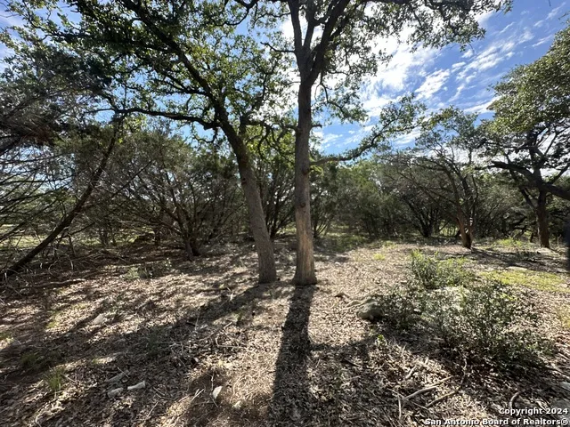 34749 Carries Creek Bulverde, TX 78163