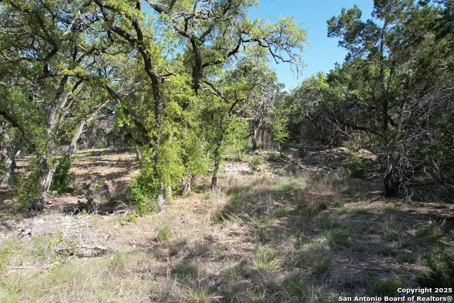 34749 Carries Creek Bulverde, TX 78163