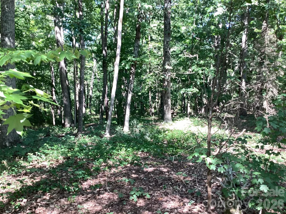 2870 Dunns Mountain Road Salisbury, NC 28146