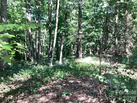 2870 Dunns Mountain Road