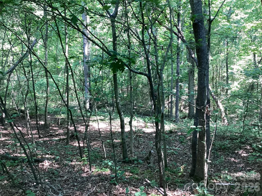 2870 Dunns Mountain Road Salisbury, NC 28146
