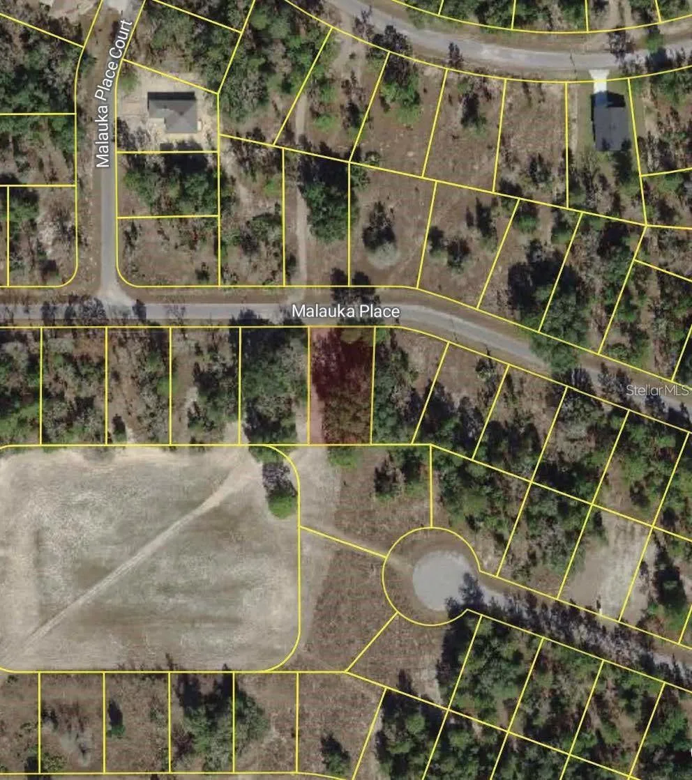 MALAUKA PLACE Ocklawaha, FL 32179