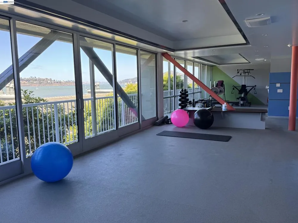 100 south #208 Sausalito, CA 94965