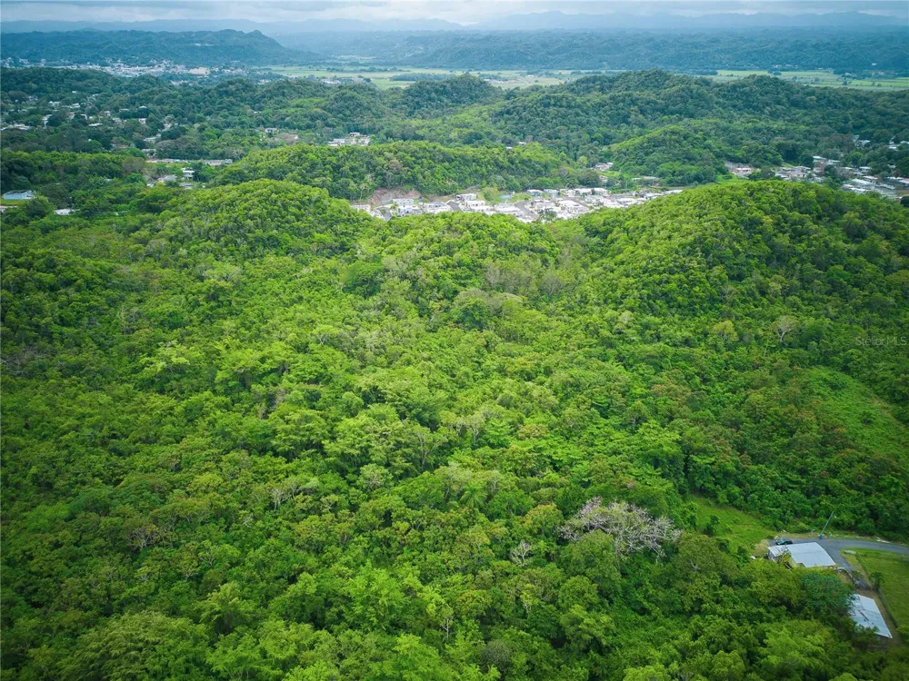 PR 616 LA MONSERRATE Manati, PR 00674