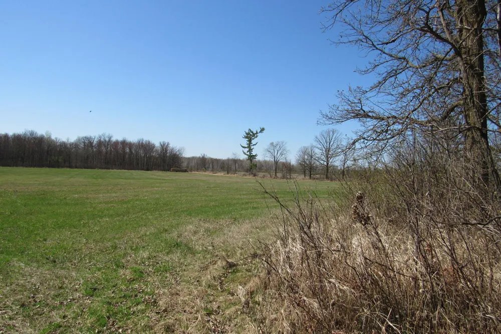 TBD-2 County Road 41 Willow River, MN 55795