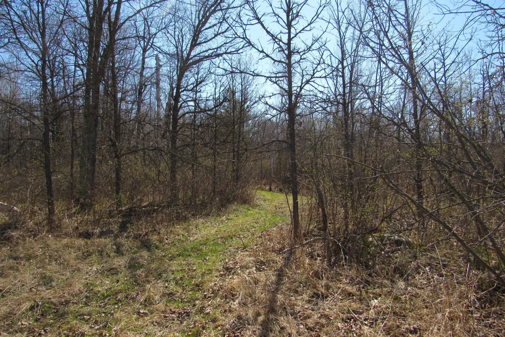TBD-2 County Road 41 Willow River, MN 55795