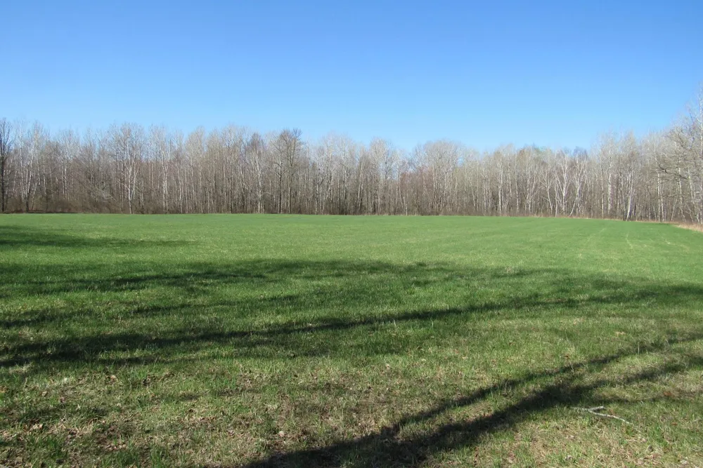 TBD-1 County Road 41 Willow River, MN 55795