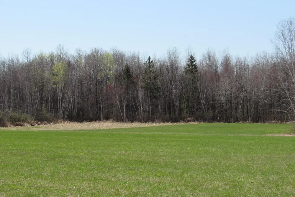 TBD-1 County Road 41 Willow River, MN 55795