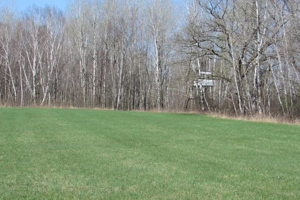 TBD-1 County Road 41 Willow River, MN 55795