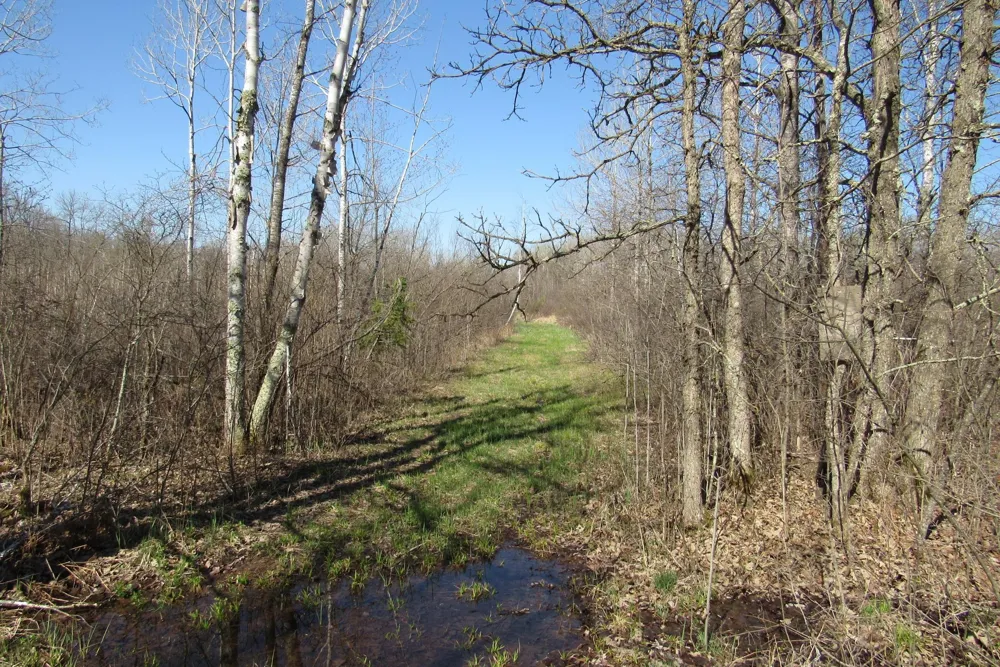 TBD-1 County Road 41 Willow River, MN 55795