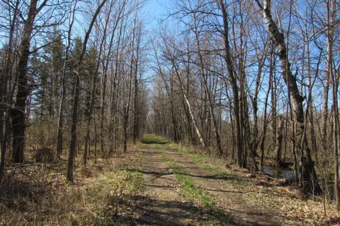 TBD-1 County Road 41