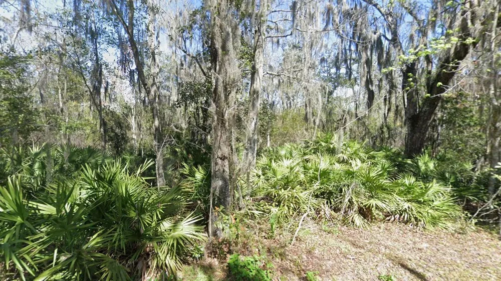 RIVERWOOD DRIVE Fleming Island, FL 32003