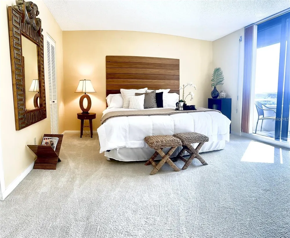 5950 PELICAN BAY PLAZA S #505 Gulfport, FL 33707