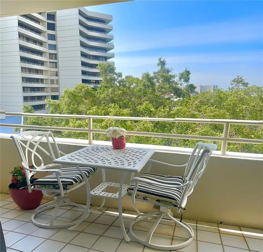 5950 PELICAN BAY PLAZA S #505 Gulfport, FL 33707