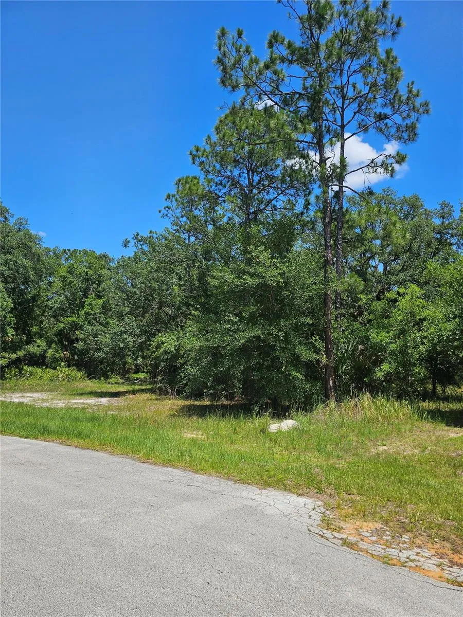 223 STARLING COURT Poinciana, FL 34759