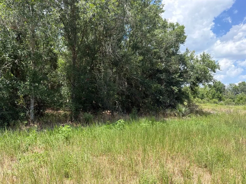16171 NW 254TH STREET Okeechobee, FL 34972