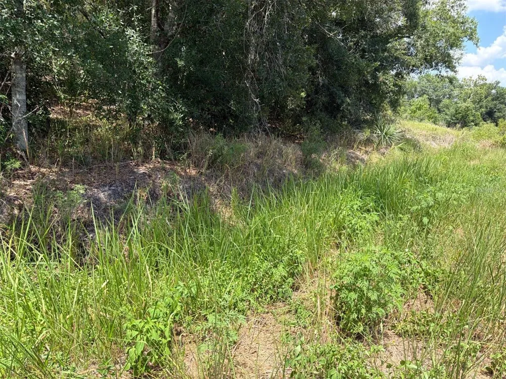 16171 NW 254TH STREET Okeechobee, FL 34972