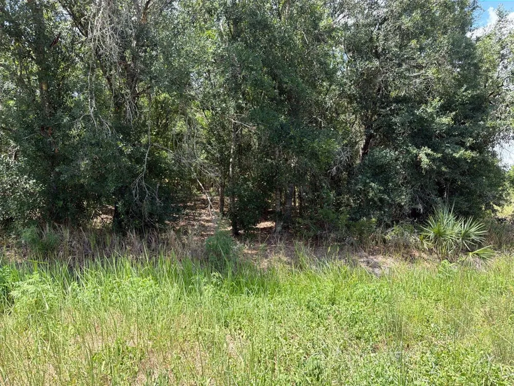 16171 NW 254TH STREET Okeechobee, FL 34972