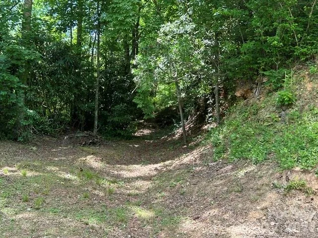 726 Israel Road Brevard, NC 28712