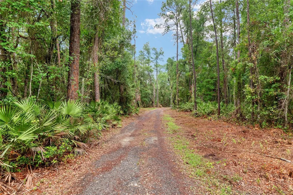 7622 SE COUNTY ROAD 234 Gainesville, FL 32641