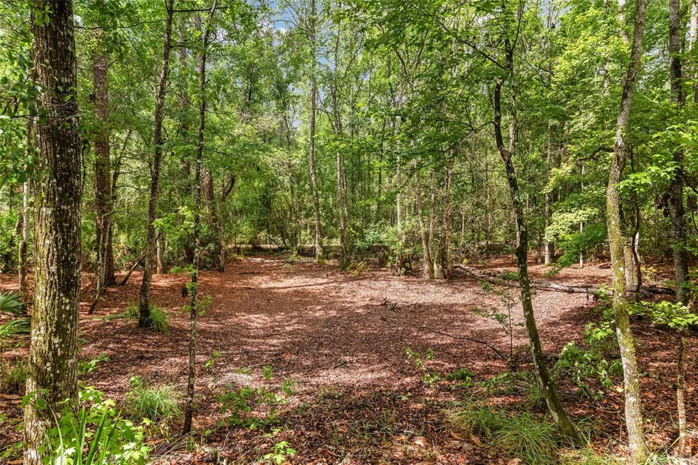 7622 SE COUNTY ROAD 234 Gainesville, FL 32641