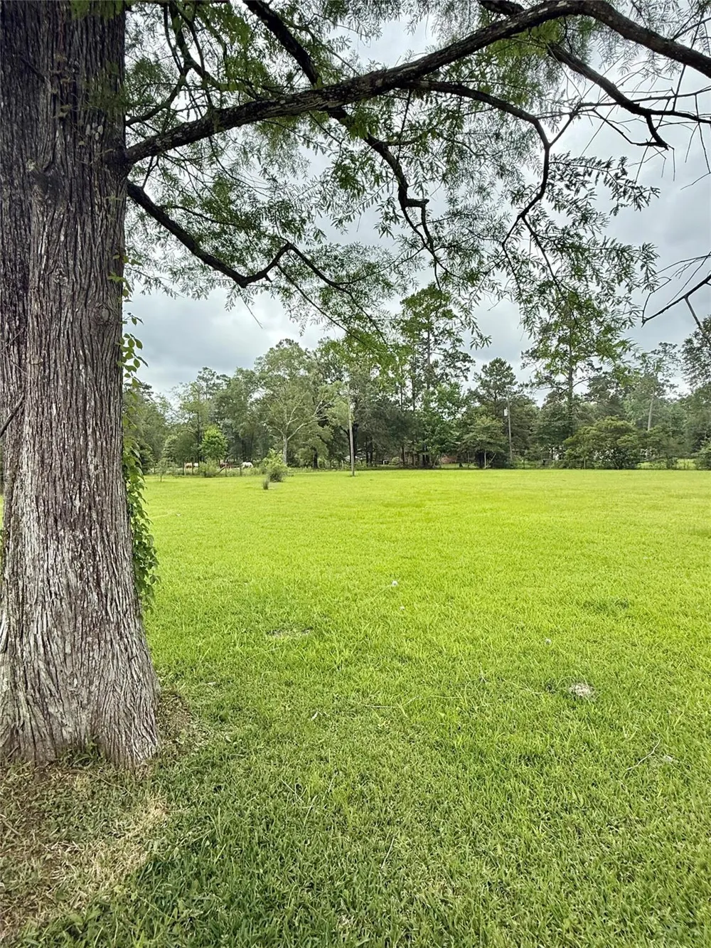 5640 Main Street Vidor, TX 77662