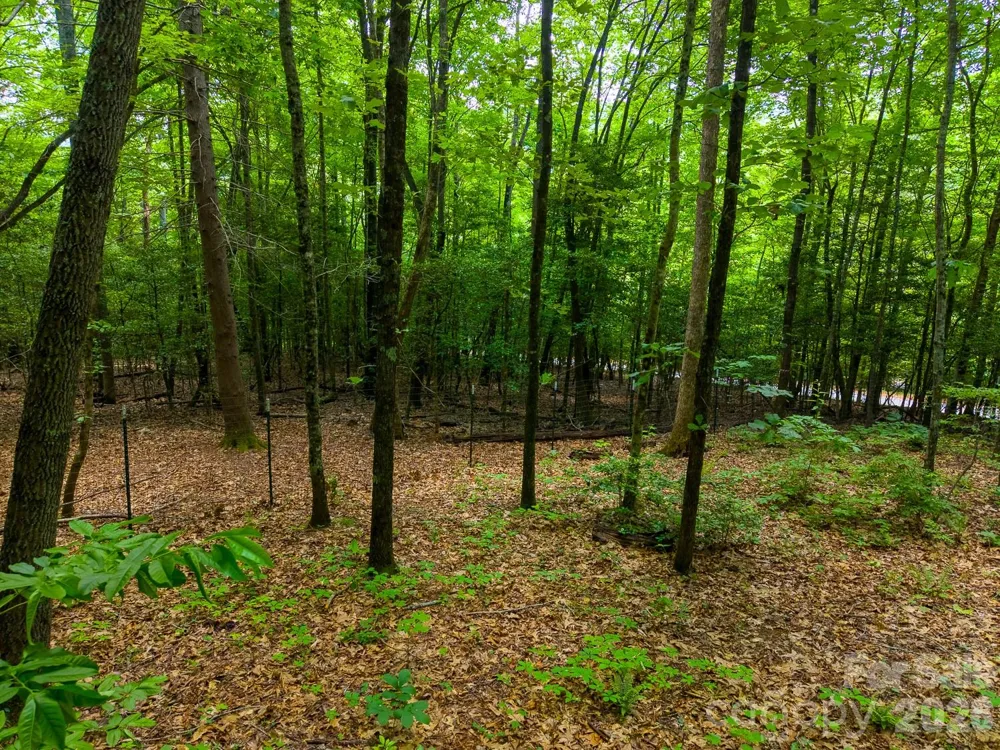 243 Jonquil Woods Road Franklin, NC 28734