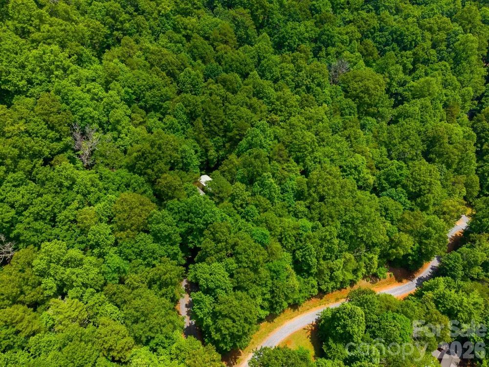 243 Jonquil Woods Road Franklin, NC 28734