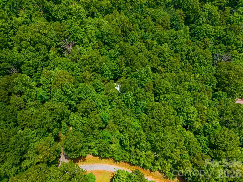 243 Jonquil Woods Road Franklin, NC 28734