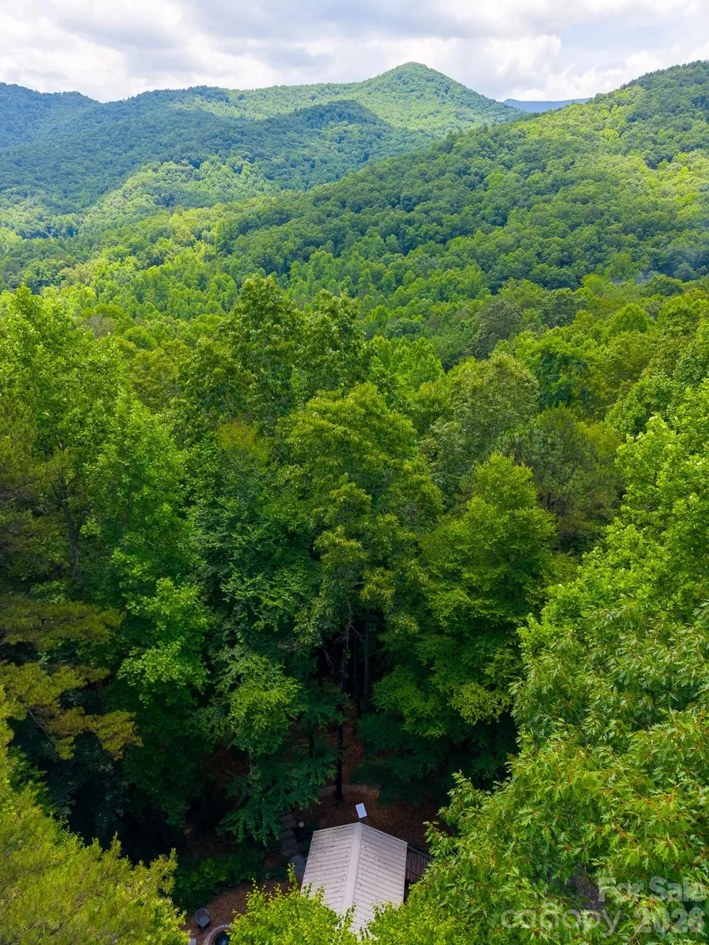 243 Jonquil Woods Road Franklin, NC 28734