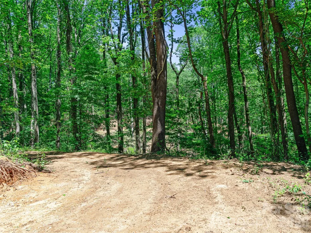 9999 Lovebird Lane #17 Candler, NC 28715