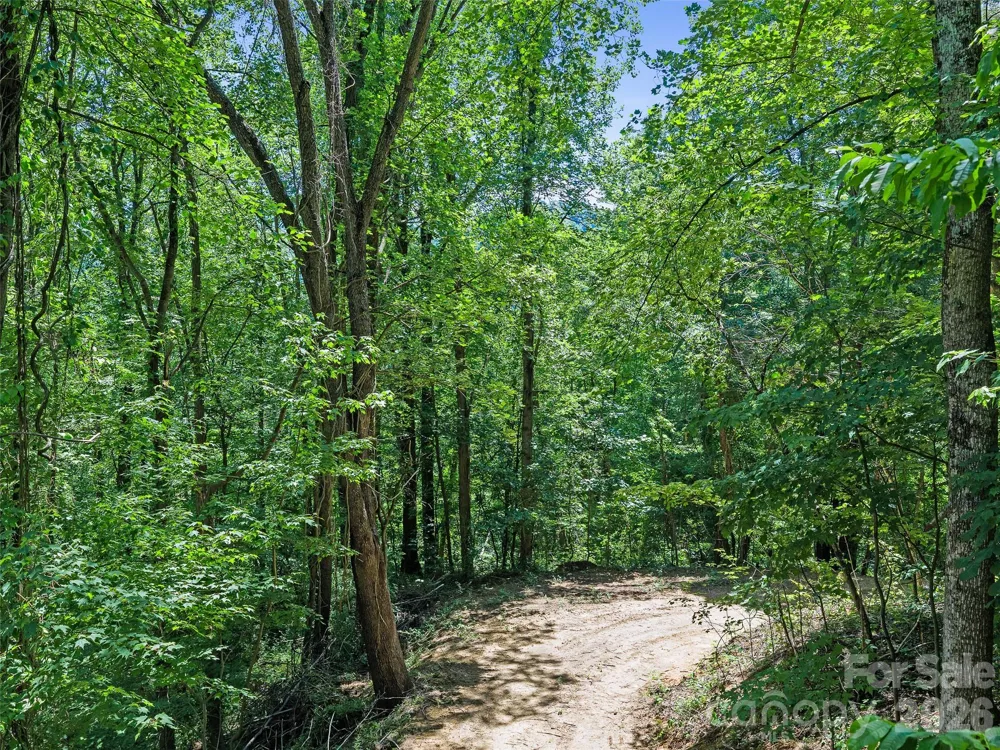 9999 Lovebird Lane #17 Candler, NC 28715
