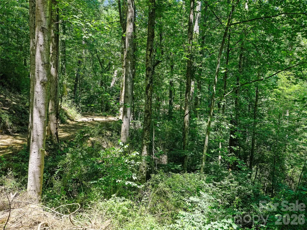 9999 Lovebird Lane #17 Candler, NC 28715
