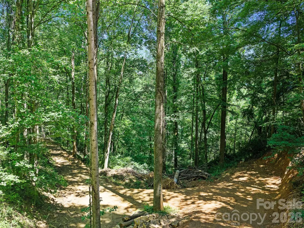 9999 Lovebird Lane #17 Candler, NC 28715