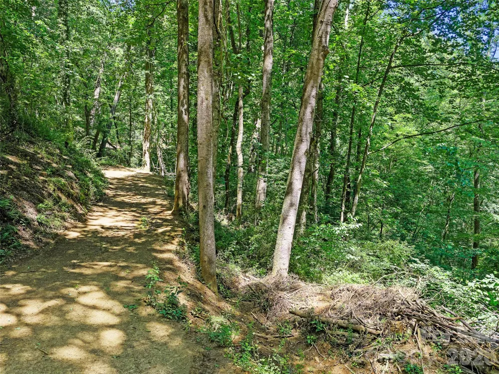9999 Lovebird Lane #17 Candler, NC 28715