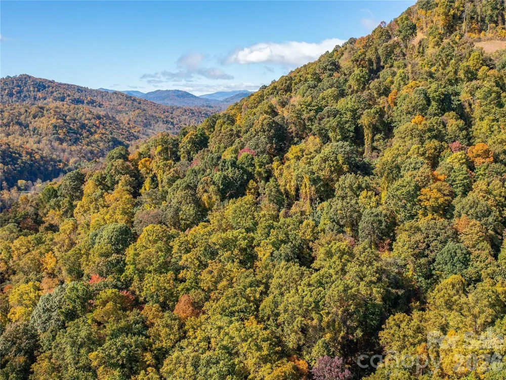 9999 Lovebird Lane #17 Candler, NC 28715