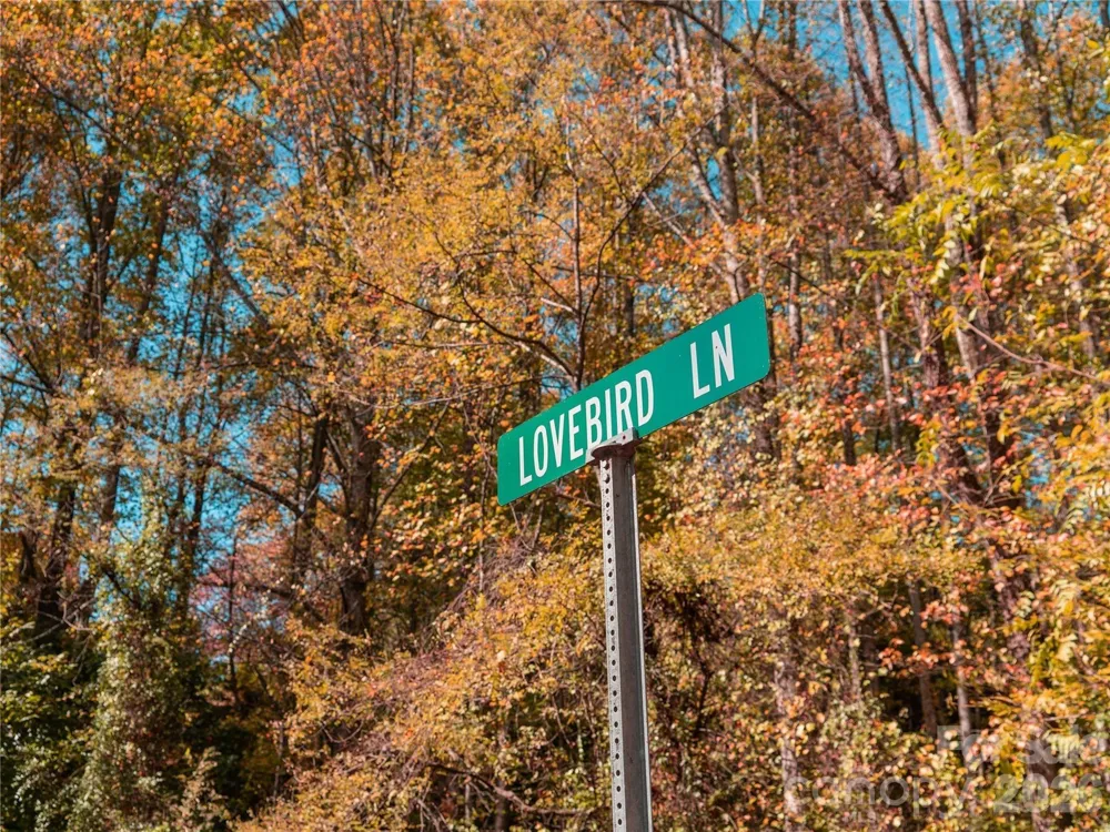 9999 Lovebird Lane #17 Candler, NC 28715