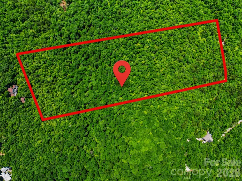 999 Miller Cove Road Black Mountain, NC 28711