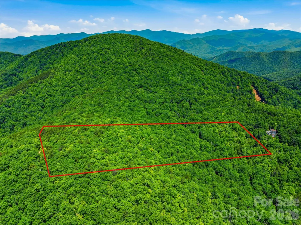 999 Miller Cove Road Black Mountain, NC 28711