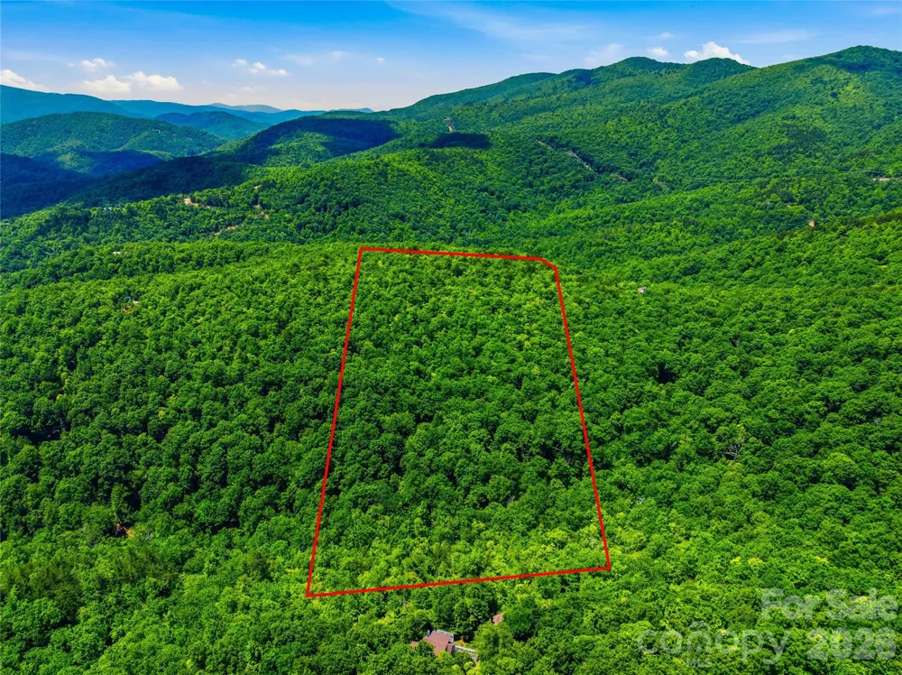 999 Miller Cove Road Black Mountain, NC 28711
