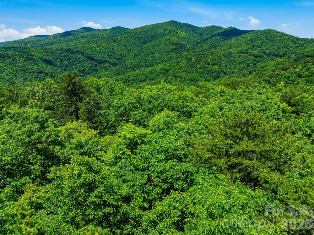 999 Miller Cove Road Black Mountain, NC 28711