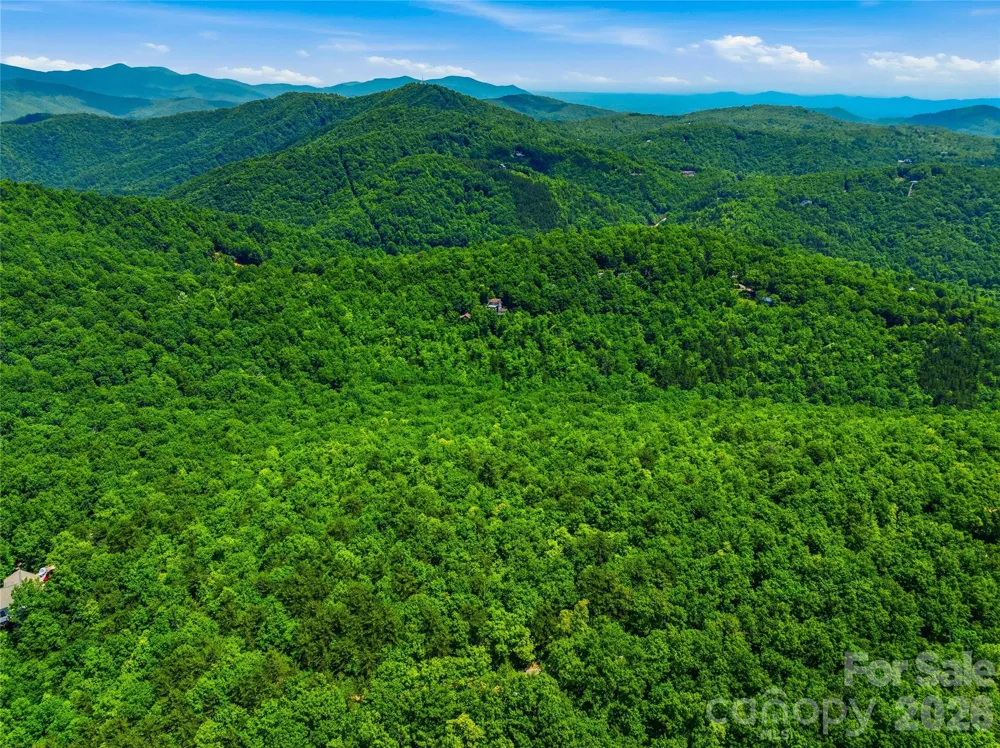 999 Miller Cove Road Black Mountain, NC 28711