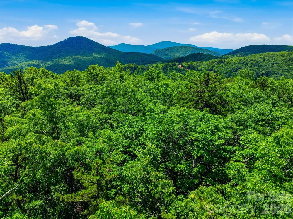 999 Miller Cove Road Black Mountain, NC 28711